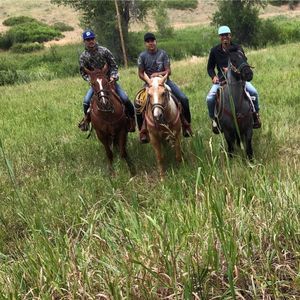 Meet your Posher, Mathew